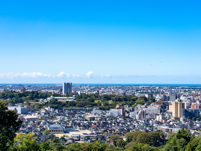 地域のおすすめ情報